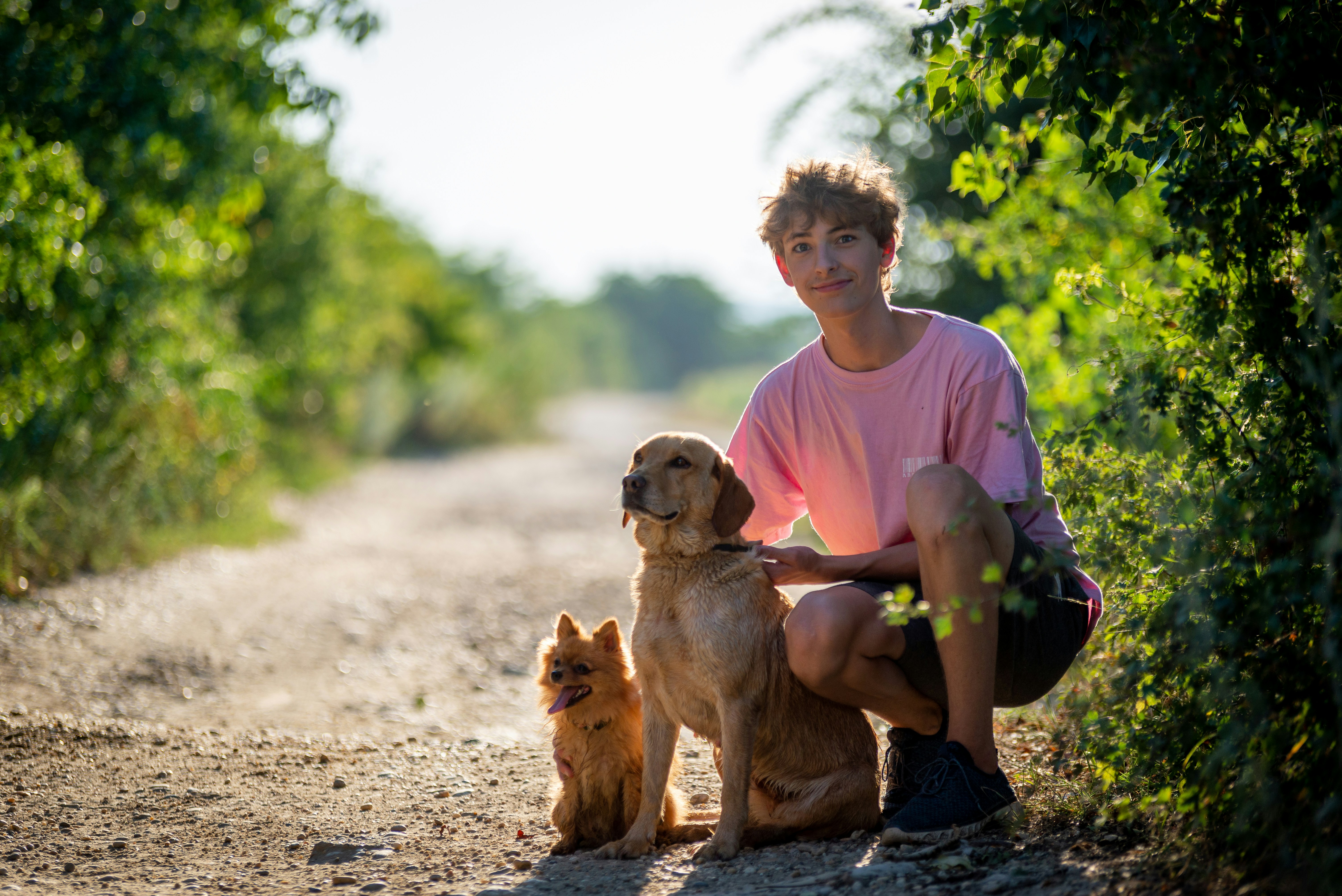 九一视频推荐封面图